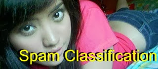 Spam Classification In Accounts / Blog Blogger and consequence