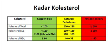 Penyebab Kolesterol Tinggi dan Obat Kolesterol Tinggi Alami