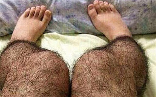 hairy stockings