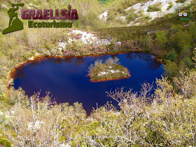 Bosque de Muniellos