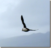IMG_2112_1_2