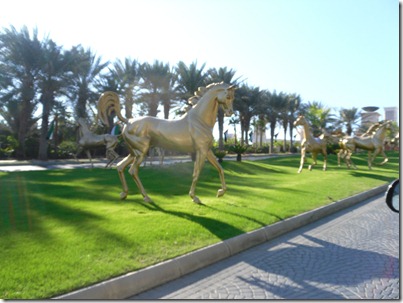 SAM_0196