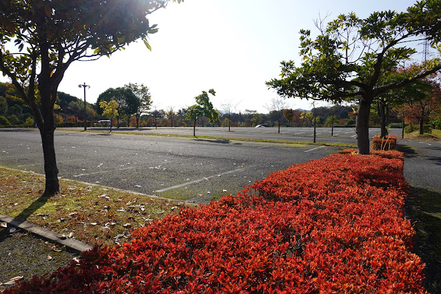 鳥取県西伯郡南部町鶴田　とっとり花回廊　駐車場