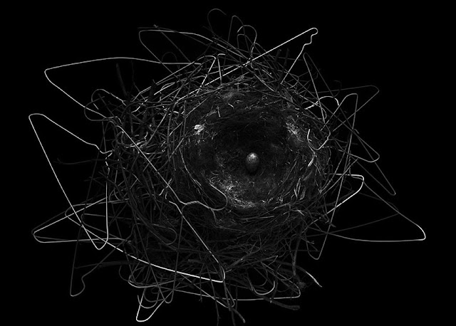 «Гнездо вороны из тремпелей». Йосуке Касивакура (Yosuke Kashiwakura).