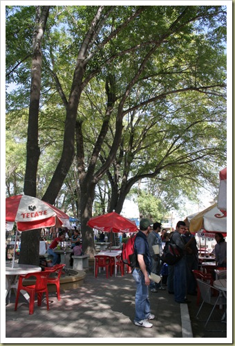 En el parque
