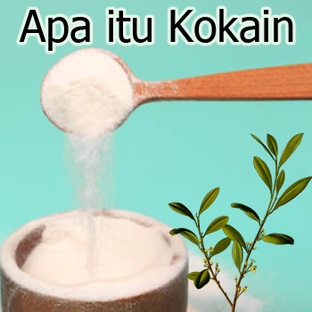 Pengertian Kokain