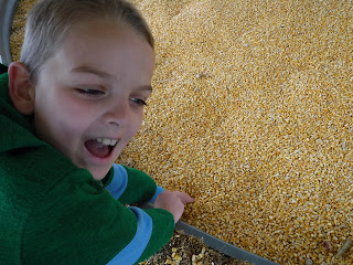 corn box at Scarecrow Farm pumpkin patch