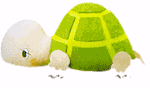 Tartaruga 01