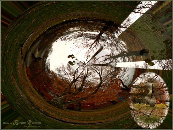 pm_20111029_worlds