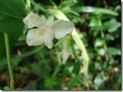 DSC00076