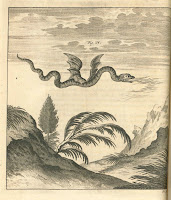 An illustration of a flying, legless dragon or wyrm, breathing fire.