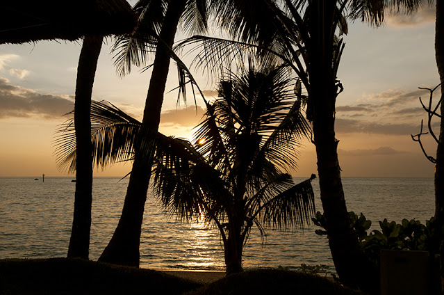 Amanecer entre palmeras en la costa de Bali.