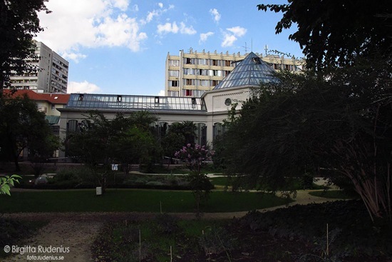 garden_20110914_fuveskert