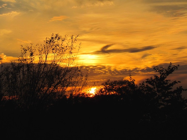 SunsetonthePlains-2-2015-10-7-19-09.jpg