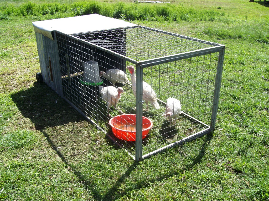 Do you use chicken tractors? What are they made out of and how to you ...