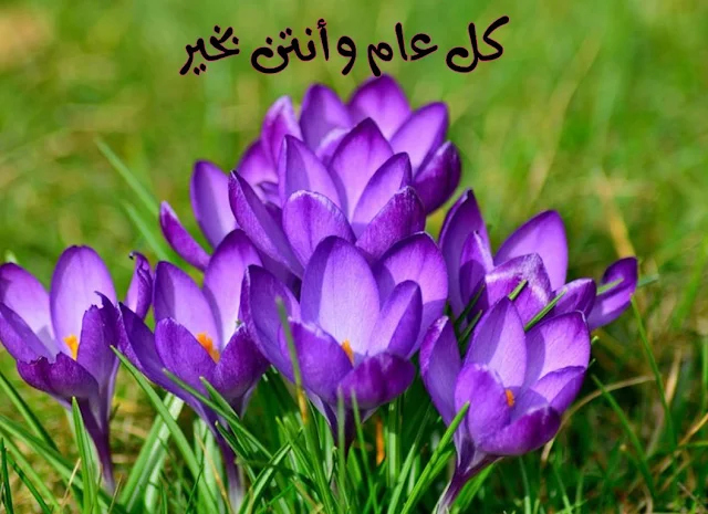 صور اليوم العالمي للمرأة