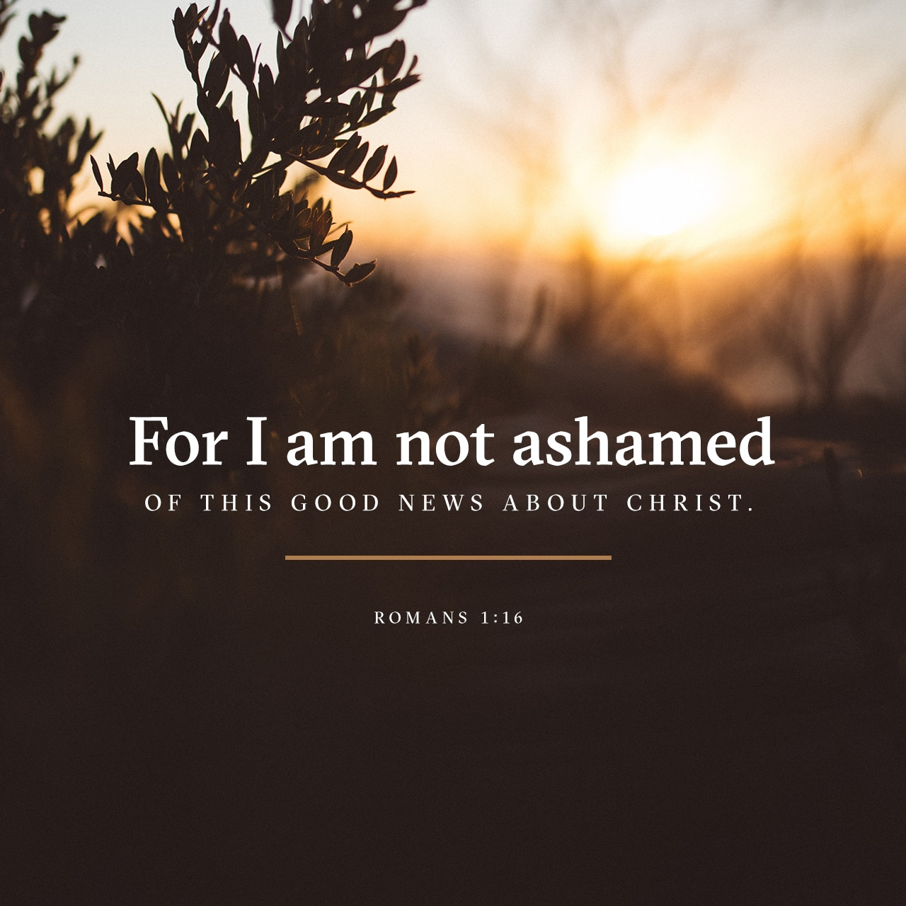 For I am not ashamed to be a Christian