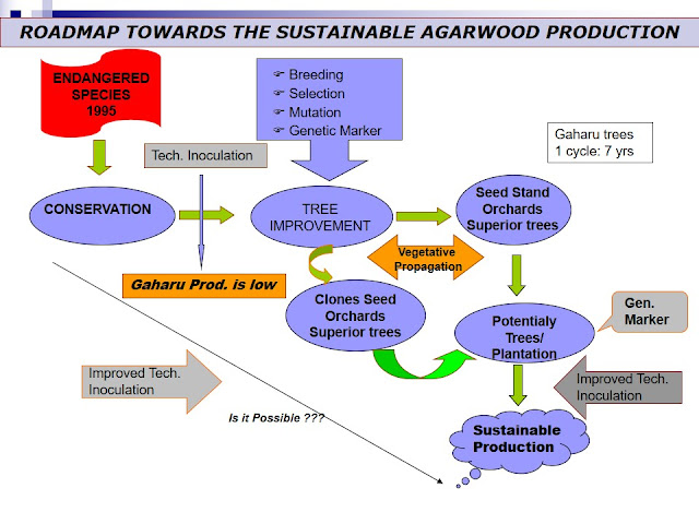 Researchers shoulds collaborate to goal this target