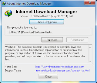 Picture showing Registered IDM 6.06 Beta Build 5