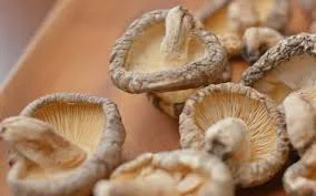 Dried Mushroom Supplier In Baden