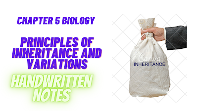 Class 12th biology chapter Fifth principles of inheritance and variations pdf handwritten notes download