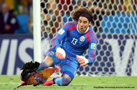 Memy sportowe:  Guillermo Ochoa  podczas mistrzostw Świata w piłce nożnej 2014 r. World sport soccer memes