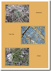 ccmarch20113_1