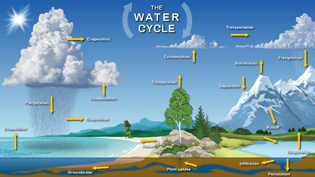 What Is Humidity?