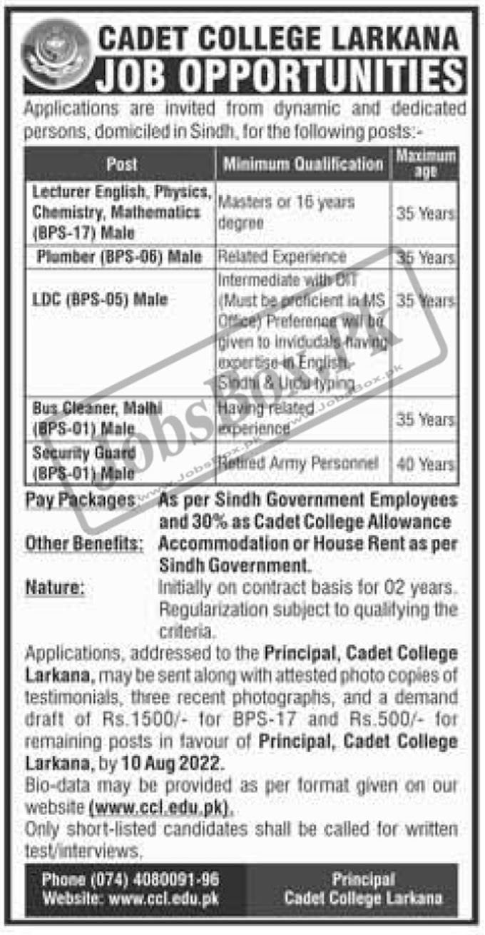 Cadet College Larkana Jobs 2022 Advertisement