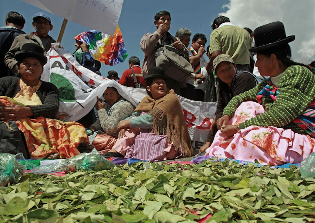 bolivia-y-como-convencio-a-los-campesinos-a-cultivar-menos-coca-bolivia-noticias
