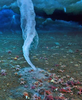 Brinicle, ocean phenomenon