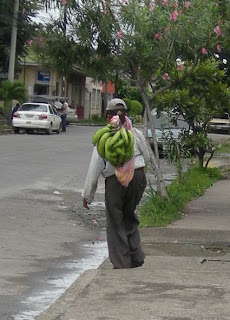 Honduran banana man, La Ceiba, Honduras