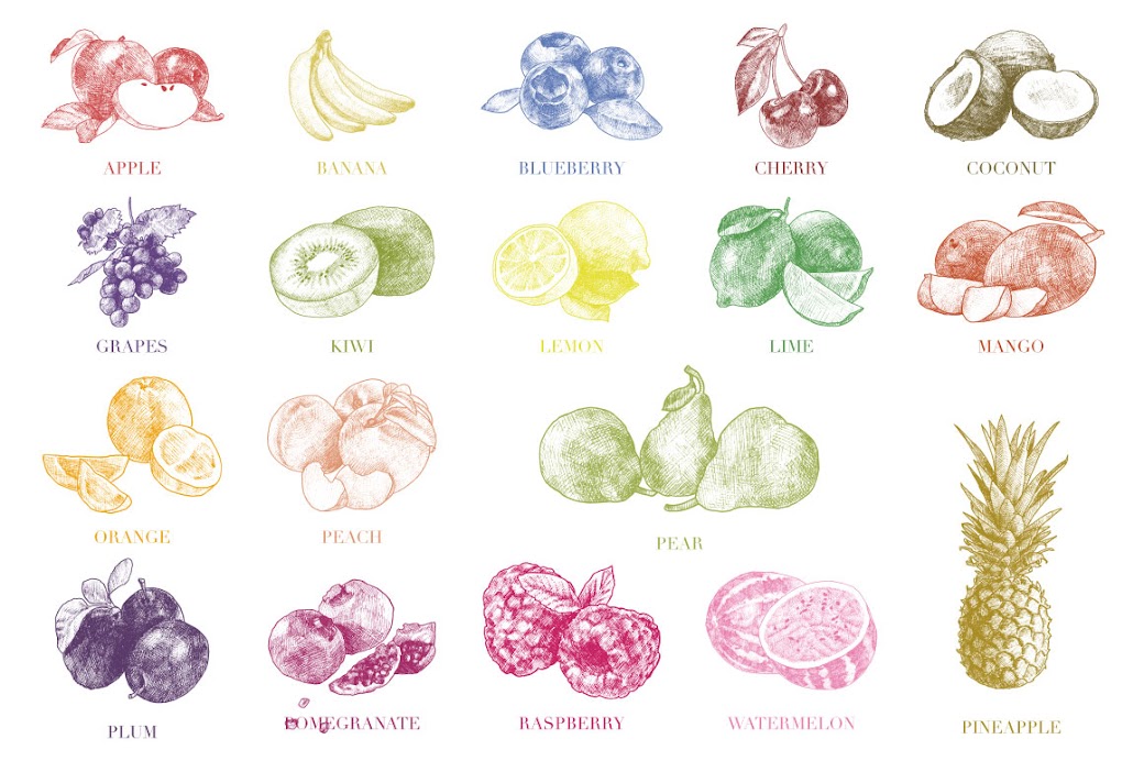 Crella Hand Drawn Vintage Fruit Compatible with Cameo Silhouette Studio, Cricut and other cutting machines for any crafting projects.