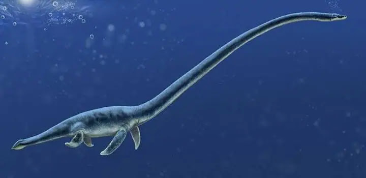 Top 10 Biggest Sea Dinosaurs that ever lived on Earth