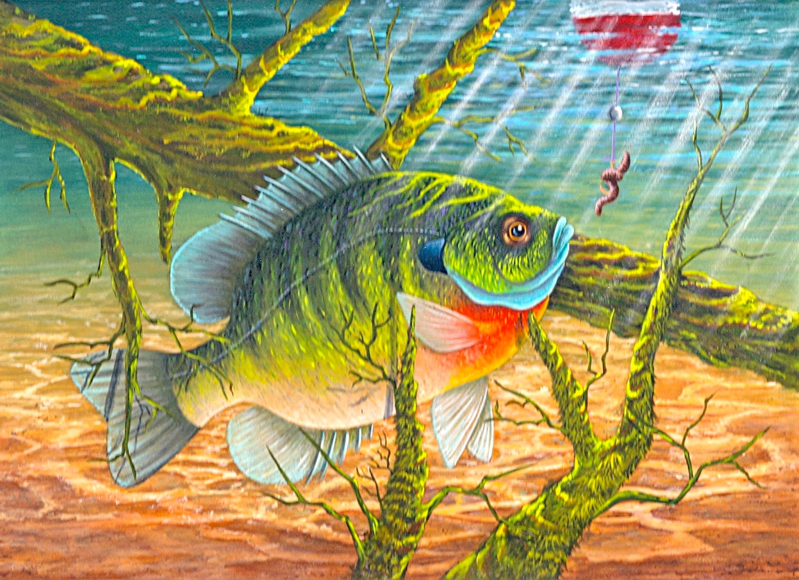 Bluegill - Lure Painting With Zach Baker 