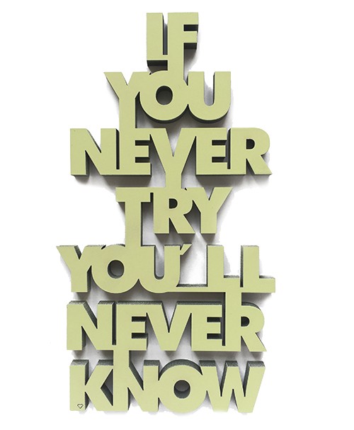 http://www.shabby-style.de/3d-schrift-if-you-never-try-you-ll-never-know