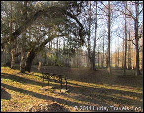 Birds love the protected area beyond the Sumter Oaks RV Park.