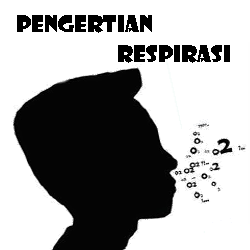 Pengertian Respirasi