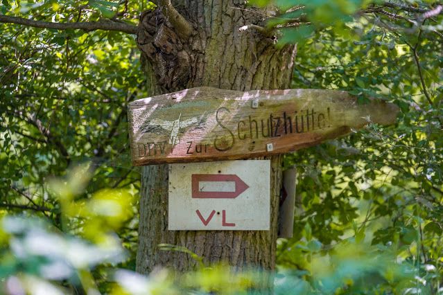 Wald- und Wiesenstorchenweg an der Queich Wandern Südliche Weinstraße Offenbach 06