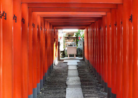 Torii.