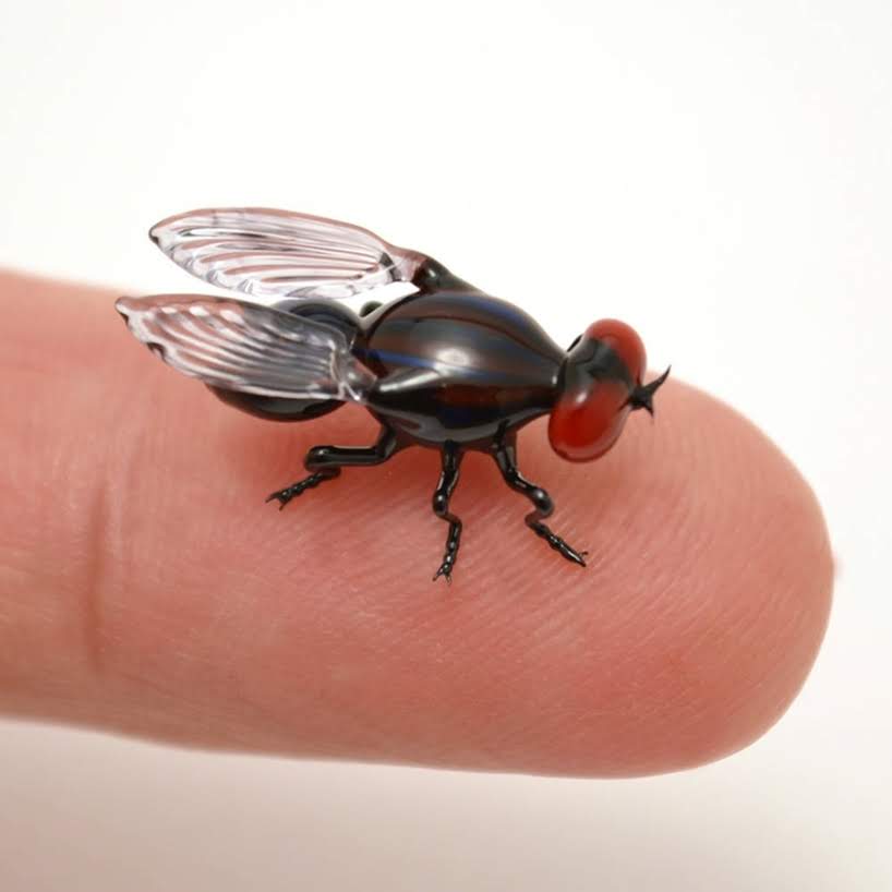 Insectos de vidrio son lo suficientemente pequeños para equilibrarse en la punta de su dedo.