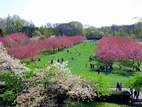 Botanical Gardens Brooklyn Parking