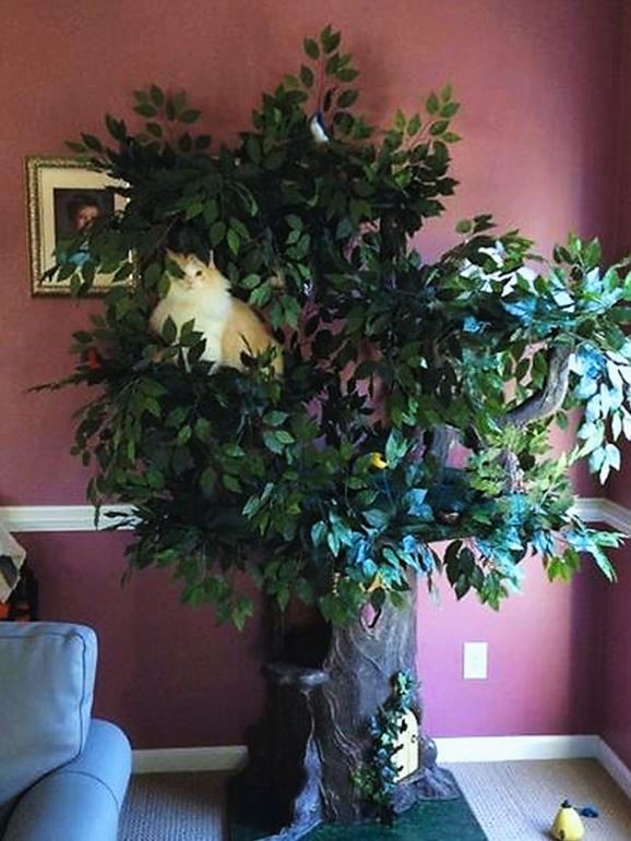  Ultimate Cat Tree