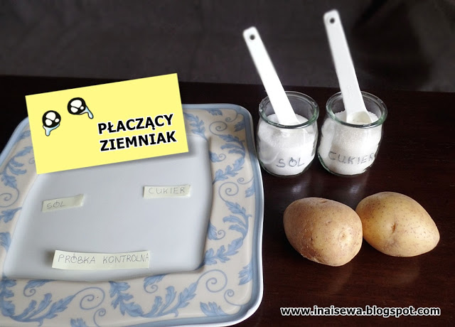 http://inaisewa.blogspot.com/2016/11/paczacy-ziemniak-piatki-z-eksperymentami.html