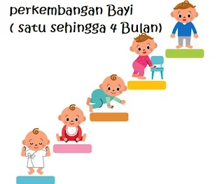 Perkembangan Bayi