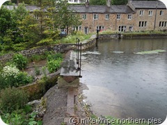 mill pond 1