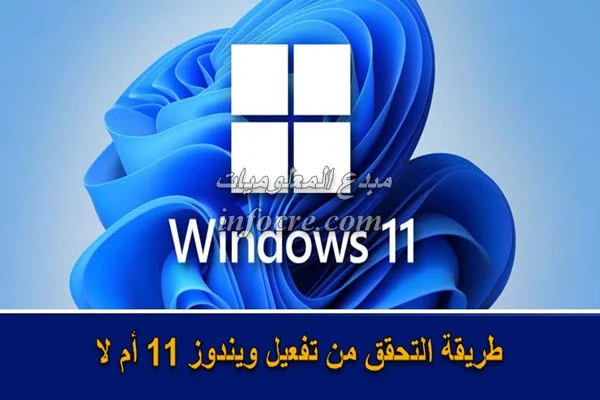 كيفية التحقق مما إذا تم تفعيل ويندوز Windows 11 أم لا