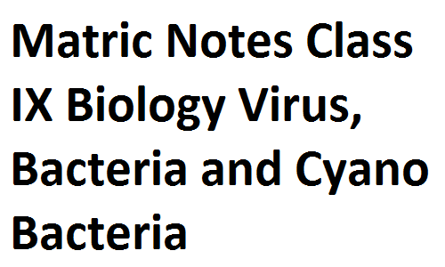 Matric Notes Class IX Biology Virus, Bacteria and Cyano Bacteria matricnotes0