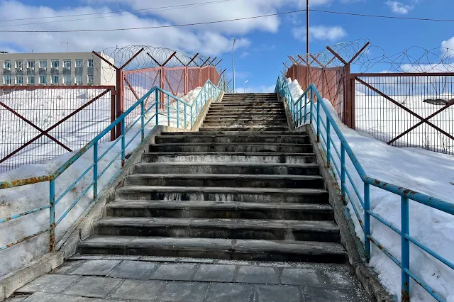 защитная лесополоса Люберецкой станции аэрации, лестница через канализационный коллектор