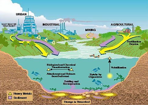 ciclo de metales pesados en el agua y aire y tierra